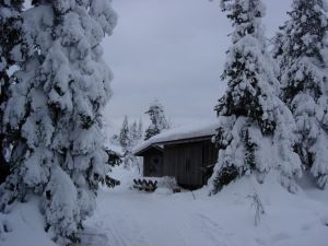 Fjällstuga vid Riisitunturi naturpark.