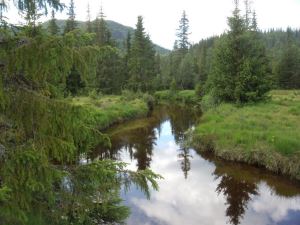 Vackert foto från Norge.