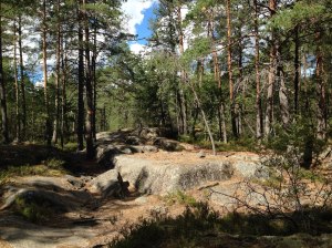 Lunsen naturreservat Uppsala