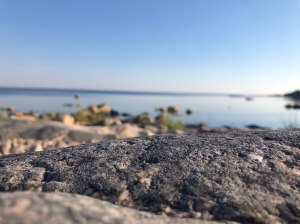 Rosmaren naturreservat