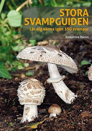 Stora svampguiden